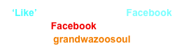 ‘Like’ our Band Page on Facebook
Click  Facebook  Logo or add : grandwazoosoul