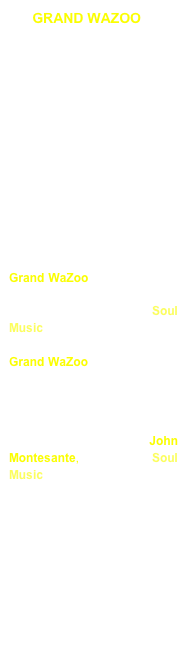       GRAND WAZOO

is Australia's legendary 13 piece Kings of Soul band, with an unsurpassed record for presenting the most entertaining and authentic Soul Music experience in the country, since 1981. 
 
Also a premium reading outfit of 10 musicians with 3 singers, the band can back other artists of any style or genre, in the vein of the Funk Brothers.

The big, bold & brassy 13 piece Grand WaZoo provides vibrant musical excellence with an entertaining & authentic Soul Music experience. And the extensive repertoire means Grand WaZoo is able to create set lists for any and all occasions.

This band, under the fine musical direction of John Montesante, pioneered Soul Music in Australia, and most groups that followed took inspiration from this mighty band, which is regarded as a Soul Institution.